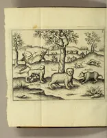 An illustration from Brevis & admiranda descriptio regni Guianae, avri abundantissimi, in America, seu novo orbe, sub linea aequinoctilia siti: quod nuper admodum, annis nimirum 1564 [sic]. 1595 & 1596. Per generosium dominum Dn. Gualtherum Raleghe quitem Anglum detectum est: : paulò post jussu ejus duobus libellis comprehensa: ex quibus Iodocus Hondius tabulam geographicam adornavit, addita explicatione Belgico sermone scripta: nunc verò in Latinum sermonem translata, & ex variis authoribus hinc inde declarata (1599)