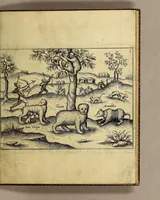 An illustration from Brevis & admiranda descriptio regni Guianae, avri abundantissimi, in America, seu novo orbe, sub linea aequinoctilia siti: quod nuper admodum, annis nimirum 1564 [sic]. 1595 & 1596. Per generosium dominum Dn. Gualtherum Raleghe quitem Anglum detectum est: : paulò post jussu ejus duobus libellis comprehensa: ex quibus Iodocus Hondius tabulam geographicam adornavit, addita explicatione Belgico sermone scripta: nunc verò in Latinum sermonem translata, & ex variis authoribus hinc inde declarata (1599)