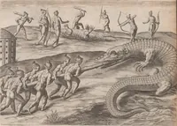 An illustration from Brevis narratio eorum quae in Florida Americae provincia Gallis acciderunt ... : quae est secunda pars Americae. Additae figurae et incolarum eicones ibidem ad vivum expressae, brevis item declaratio religionis, rituum, vivendique ratione ipsorum ... (1591)