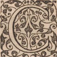 An illustration from Brevis narratio eorum quae in Florida Americae provincia Gallis acciderunt ... : quae est secunda pars Americae. Additae figurae et incolarum eicones ibidem ad vivum expressae, brevis item declaratio religionis, rituum, vivendique ratione ipsorum ... (1591)