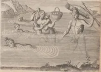 Picture 66 of 99 from Brevis narratio eorum quae in Florida Americae provincia Gallis acciderunt ... : quae est secunda pars Americae. Additae figurae et incolarum eicones ibidem ad vivum expressae, brevis item declaratio religionis, rituum, vivendique ratione ipsorum ... (1591), leaf 102