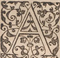 An illustration from Brevis narratio eorum quae in Florida Americae provincia Gallis acciderunt ... : quae est secunda pars Americae. Additae figurae et incolarum eicones ibidem ad vivum expressae, brevis item declaratio religionis, rituum, vivendique ratione ipsorum ... (1591)