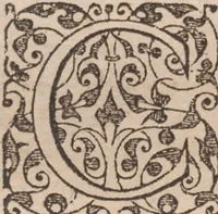 Picture 69 of 99 from Brevis narratio eorum quae in Florida Americae provincia Gallis acciderunt ... : quae est secunda pars Americae. Additae figurae et incolarum eicones ibidem ad vivum expressae, brevis item declaratio religionis, rituum, vivendique ratione ipsorum ... (1591), leaf 104