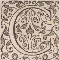 An illustration from Brevis narratio eorum quae in Florida Americae provincia Gallis acciderunt ... : quae est secunda pars Americae. Additae figurae et incolarum eicones ibidem ad vivum expressae, brevis item declaratio religionis, rituum, vivendique ratione ipsorum ... (1591)
