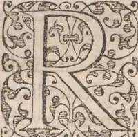An illustration from Brevis narratio eorum quae in Florida Americae provincia Gallis acciderunt ... : quae est secunda pars Americae. Additae figurae et incolarum eicones ibidem ad vivum expressae, brevis item declaratio religionis, rituum, vivendique ratione ipsorum ... (1591)