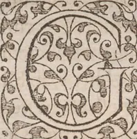 An illustration from Brevis narratio eorum quae in Florida Americae provincia Gallis acciderunt ... : quae est secunda pars Americae. Additae figurae et incolarum eicones ibidem ad vivum expressae, brevis item declaratio religionis, rituum, vivendique ratione ipsorum ... (1591)