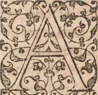 An illustration from Brevis narratio eorum quae in Florida Americae provincia Gallis acciderunt ... : quae est secunda pars Americae. Additae figurae et incolarum eicones ibidem ad vivum expressae, brevis item declaratio religionis, rituum, vivendique ratione ipsorum ... (1591)