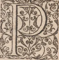 An illustration from Brevis narratio eorum quae in Florida Americae provincia Gallis acciderunt ... : quae est secunda pars Americae. Additae figurae et incolarum eicones ibidem ad vivum expressae, brevis item declaratio religionis, rituum, vivendique ratione ipsorum ... (1591)