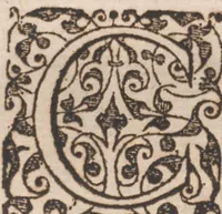 An illustration from Brevis narratio eorum quae in Florida Americae provincia Gallis acciderunt ... : quae est secunda pars Americae. Additae figurae et incolarum eicones ibidem ad vivum expressae, brevis item declaratio religionis, rituum, vivendique ratione ipsorum ... (1591)