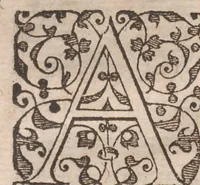 An illustration from Brevis narratio eorum quae in Florida Americae provincia Gallis acciderunt ... : quae est secunda pars Americae. Additae figurae et incolarum eicones ibidem ad vivum expressae, brevis item declaratio religionis, rituum, vivendique ratione ipsorum ... (1591)