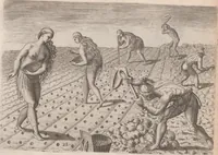 Picture 55 of 99 from Brevis narratio eorum quae in Florida Americae provincia Gallis acciderunt ... : quae est secunda pars Americae. Additae figurae et incolarum eicones ibidem ad vivum expressae, brevis item declaratio religionis, rituum, vivendique ratione ipsorum ... (1591), leaf 90