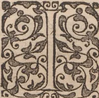An illustration from Brevis narratio eorum quae in Florida Americae provincia Gallis acciderunt ... : quae est secunda pars Americae. Additae figurae et incolarum eicones ibidem ad vivum expressae, brevis item declaratio religionis, rituum, vivendique ratione ipsorum ... (1591)