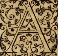 An illustration from Brevis narratio eorvm qvae in Florida Americæ provicia Gallis acciderunt : secunda in illam nauigatione, duce Renato de Laudõniere classis præfecto, anno MDLXIIII, qvae est secvnda pars Americæ : additæ figuræ & incolarum eicones ibidem ad vivu expressæ, brevis item declaratio religionis, rituum, vivendique ratione ipsorum (1591)