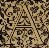 An illustration from Brevis narratio eorvm qvae in Florida Americæ provicia Gallis acciderunt : secunda in illam nauigatione, duce Renato de Laudõniere classis præfecto, anno MDLXIIII, qvae est secvnda pars Americæ : additæ figuræ & incolarum eicones ibidem ad vivu expressæ, brevis item declaratio religionis, rituum, vivendique ratione ipsorum (1591)