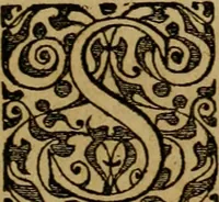 Picture 45 of 97 from Brevis narratio eorvm qvae in Florida Americæ provicia Gallis acciderunt : secunda in illam nauigatione, duce Renato de Laudõniere classis præfecto, anno MDLXIIII, qvae est secvnda pars Americæ : additæ figuræ & incolarum eicones ibidem ad vivu expressæ, brevis item declaratio religionis, rituum, vivendique ratione ipsorum (1591), leaf 48