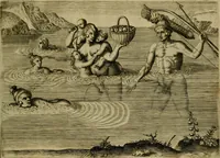 Picture 52 of 97 from Brevis narratio eorvm qvae in Florida Americæ provicia Gallis acciderunt : secunda in illam nauigatione, duce Renato de Laudõniere classis præfecto, anno MDLXIIII, qvae est secvnda pars Americæ : additæ figuræ & incolarum eicones ibidem ad vivu expressæ, brevis item declaratio religionis, rituum, vivendique ratione ipsorum (1591), leaf 56