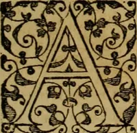 Picture 53 of 97 from Brevis narratio eorvm qvae in Florida Americæ provicia Gallis acciderunt : secunda in illam nauigatione, duce Renato de Laudõniere classis præfecto, anno MDLXIIII, qvae est secvnda pars Americæ : additæ figuræ & incolarum eicones ibidem ad vivu expressæ, brevis item declaratio religionis, rituum, vivendique ratione ipsorum (1591), leaf 56