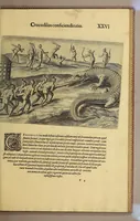 Picture 12 of 16 from Brevis narratio eorum quae in Florida Americae provi[n]cia Gallis acciderunt, : secunda in illam nauigatione, duce Renato de Laudo[n]niere classis praefecto anno M D LXIIII. Quae est secunda pars Americae. Additae figurae et incolarum eicones ibidem ad vivu[m] espressae brevis item declaratio religionis, rituum, vivendique ratione ipsorum. (1609), leaf 113