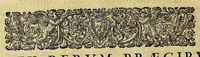 An illustration from Brevis narratio eorum quae in Florida Americae provi[n]cia Gallis acciderunt, : secunda in illam nauigatione, duce Renato de Laudo[n]niere classis praefecto anno M D LXIIII. Quae est secunda pars Americae. Additae figurae et incolarum eicones ibidem ad vivu[m] espressae brevis item declaratio religionis, rituum, vivendique ratione ipsorum. (1609)