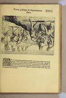 An illustration from Brevis narratio eorum quae in Florida Americae provi[n]cia Gallis acciderunt, : secunda in illam nauigatione, duce Renato de Laudo[n]niere classis praefecto anno M D LXIIII. Quae est secunda pars Americae. Additae figurae et incolarum eicones ibidem ad vivu[m] espressae brevis item declaratio religionis, rituum, vivendique ratione ipsorum. (1591)
