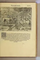 Picture 11 of 14 from Brevis narratio eorum quae in Florida Americae provi[n]cia Gallis acciderunt, : secunda in illam nauigatione, duce Renato de Laudo[n]niere classis praefecto anno M D LXIIII. Quae est secunda pars Americae. Additae figurae et incolarum eicones ibidem ad vivu[m] espressae brevis item declaratio religionis, rituum, vivendique ratione ipsorum. (1591), leaf 113
