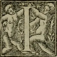 Picture 53 of 54 from Brevis & perspicua explicatio Psalmorum Dauidis. Decas prima [-quinta] (1567), leaf 1028
