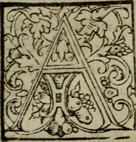 An illustration from Brevis & perspicua explicatio Psalmorum Dauidis. Decas prima [-quinta] (1567)