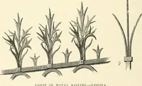 Picture 38 of 139 from Brick and marble in the middle ages: notes of tours in the north of Italy (1874), leaf 157