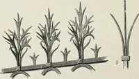 An illustration from Brick and marble in the Middle Ages : notes of tours in the north of Italy (1874)