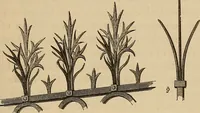 Picture 25 of 78 from Brick and marble in the Middle Ages: notes of a tour in the north of Italy (1855), leaf 134