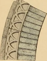 Picture 76 of 78 from Brick and marble in the Middle Ages: notes of a tour in the north of Italy (1855), leaf 365