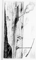 Picture 3 of 16 from A brief account of some travels in divers parts of Europe, viz. Hvngaria, Servia, Bvlgaria, Macedonia, Thessaly, Avstria, Styria, Carinthia, Corniola, and Frivli, through a great part of Germany, and the Low-Countries, through Marca Trevisana, and Lombardy on both sides the Po. With some observations on the gold, silver, copper, quick-silver mines, and the baths and mineral waters in those parts. As also, the description of many antiquities, habits, fortifications and remarkable places (1687), leaf 19