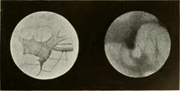 An illustration from Brief biography and popular account of the unparalleled discoveries of T. J. J. See .. (1913)