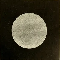 An illustration from Brief biography and popular account of the unparalleled discoveries of T. J. J. See .. (1913)