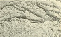 An illustration from Brief biography and popular account of the unparalleled discoveries of T. J. J. See .. (1913)