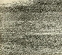 An illustration from Brief biography and popular account of the unparalleled discoveries of T. J. J. See .. (1913)
