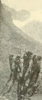 An illustration from Brief biography and popular account of the unparalleled discoveries of T. J. J. See .. (1913)