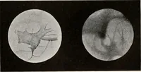 An illustration from Brief biography and popular account of the unparalleled discoveries of T.J.J. See (1913)