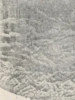 An illustration from Brief biography and popular account of the unparalleled discoveries of T.J.J. See (1913)