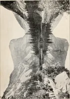 An illustration from Brief biography and popular account of the unparalleled discoveries of T.J.J. See (1913)