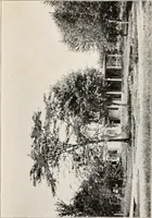 An illustration from Brief biography and popular account of the unparalleled discoveries of T.J.J. See (1913)
