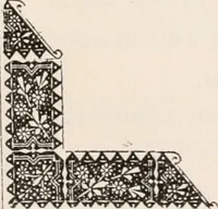 An illustration from Brief biography and popular account of the unparalleled discoveries of T.J.J. See (1913)