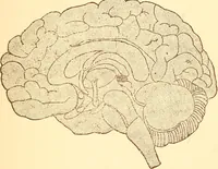 An illustration from A brief course in mediumship (1915)