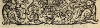 An illustration from Brief discours du merueilleux & terrible accident aduenu par feu, en la ville de Venise, apres les triumphes & magnifiscences faictes a l'election du duc. Auec vne exortation faicte au peuple par vn docteur en theologie d'icelle ville. (1574)