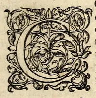 An illustration from Brief discours du merueilleux & terrible accident aduenu par feu, en la ville de Venise, apres les triumphes & magnifiscences faictes a l'election du duc. Auec vne exortation faicte au peuple par vn docteur en theologie d'icelle ville. (1574)