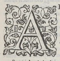 An illustration from A briefe relation of the discouery and plantation of Nevv England: : and of sundry accidents therein occurring, from the yeere of our Lord M. DC. VII. to this present M. DC. XXII. Together with the state thereof as now it standeth; the generall forme of gouernment intended; and the diuision of the whole territorie into counties, baronries, &c (1622)