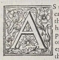 An illustration from A briefe relation of the discouery and plantation of Nevv England: : and of sundry accidents therein occurring, from the yeere of our Lord M. DC. VII. to this present M. DC. XXII. Together with the state thereof as now it standeth; the generall forme of gouernment intended; and the diuision of the whole territorie into counties, baronries, &c (1622)