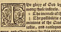 An illustration from A briefe and true relation of the discouerie of the north part of Virginia: being a most pleasant, fruitfull and commodious soile: : made this present yeere 1602, by captaine Bartholomew Gosnold, Captaine Bartholowmew [sic] Gilbert, and diuers other gentlemen their associats, by the permission of the honourable knight, Sir Walter Ralegh, &c. (1602)