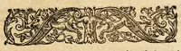 An illustration from A briefe and true relation of the discouerie of the north part of Virginia: being a most pleasant, fruitfull and commodious soile: : made this present yeere 1602, by captaine Bartholomew Gosnold, Captaine Bartholowmew [sic] Gilbert, and diuers other gentlemen their associats, by the permission of the honourable knight, Sir Walter Ralegh, &c. (1602)