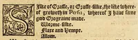 An illustration from A briefe and true relation of the discouerie of the north part of Virginia: being a most pleasant, fruitfull and commodious soile: : made this present yeere 1602, by captaine Bartholomew Gosnold, Captaine Bartholowmew [sic] Gilbert, and diuers other gentlemen their associats, by the permission of the honourable knight, Sir Walter Ralegh, &c. (1602)